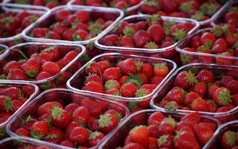 Découvrez le marché liège : un voyage au cœur de l&rsquo;authenticité